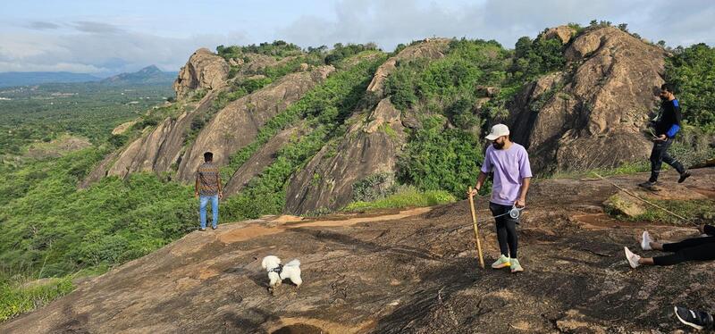 Resorts in kanakapura road for day outing | V Nature Resorts